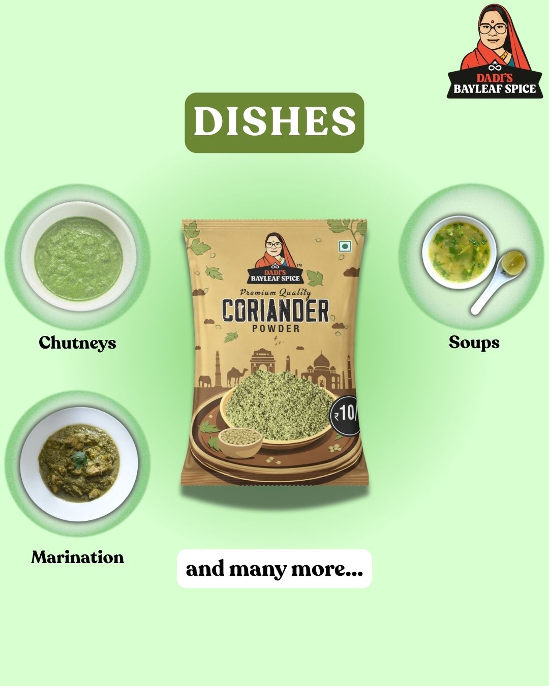 Coriander Powder Applications